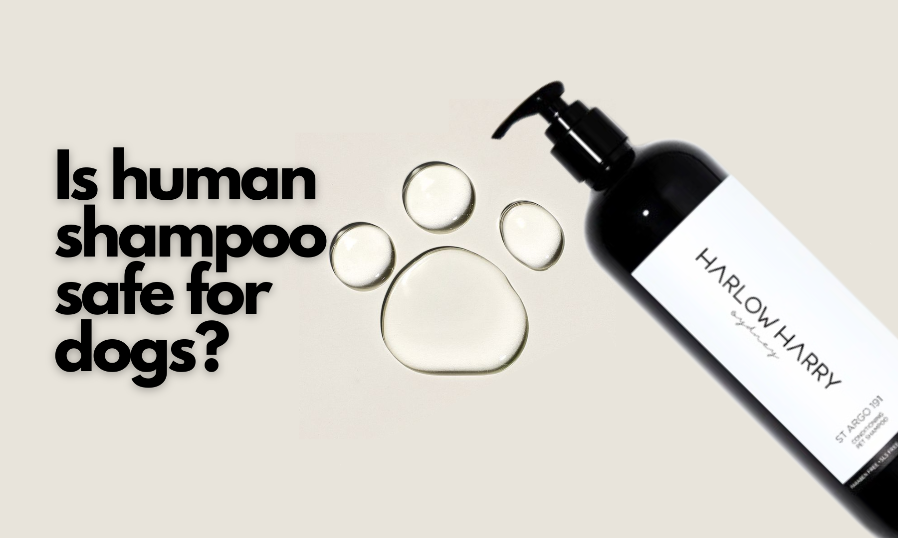 Why Using Human Shampoo on Dogs Is a Bad Idea ST ARGO
