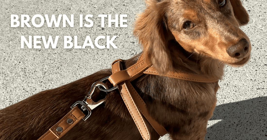 Brown Dog Products