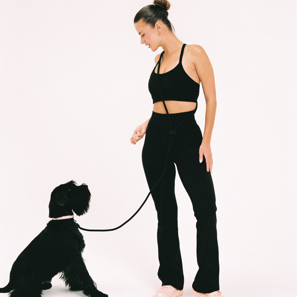 Black hands free dog leash