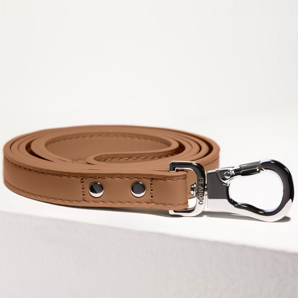 Brown Dog Leash