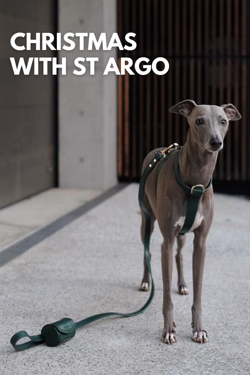 Christmas Dog Gift Ideas ST ARGO