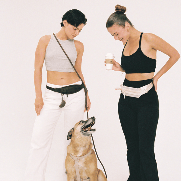 Models Cream Dog Walk Belt