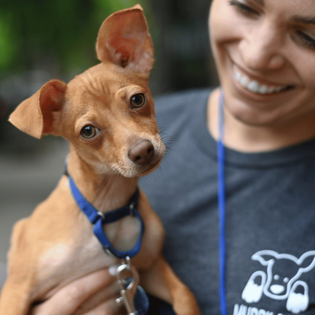 Muddy Paws Rescue