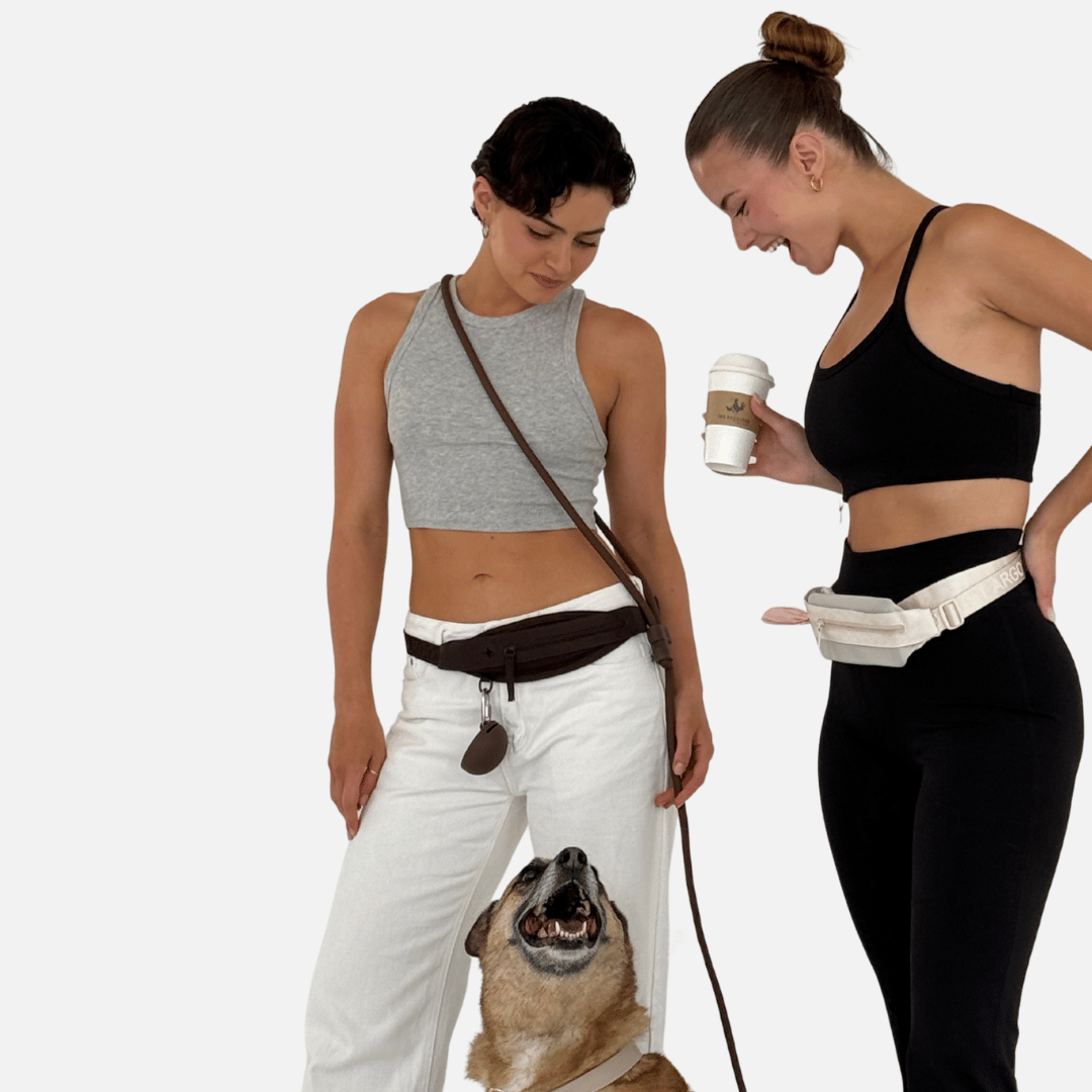 Dog Walk Belt