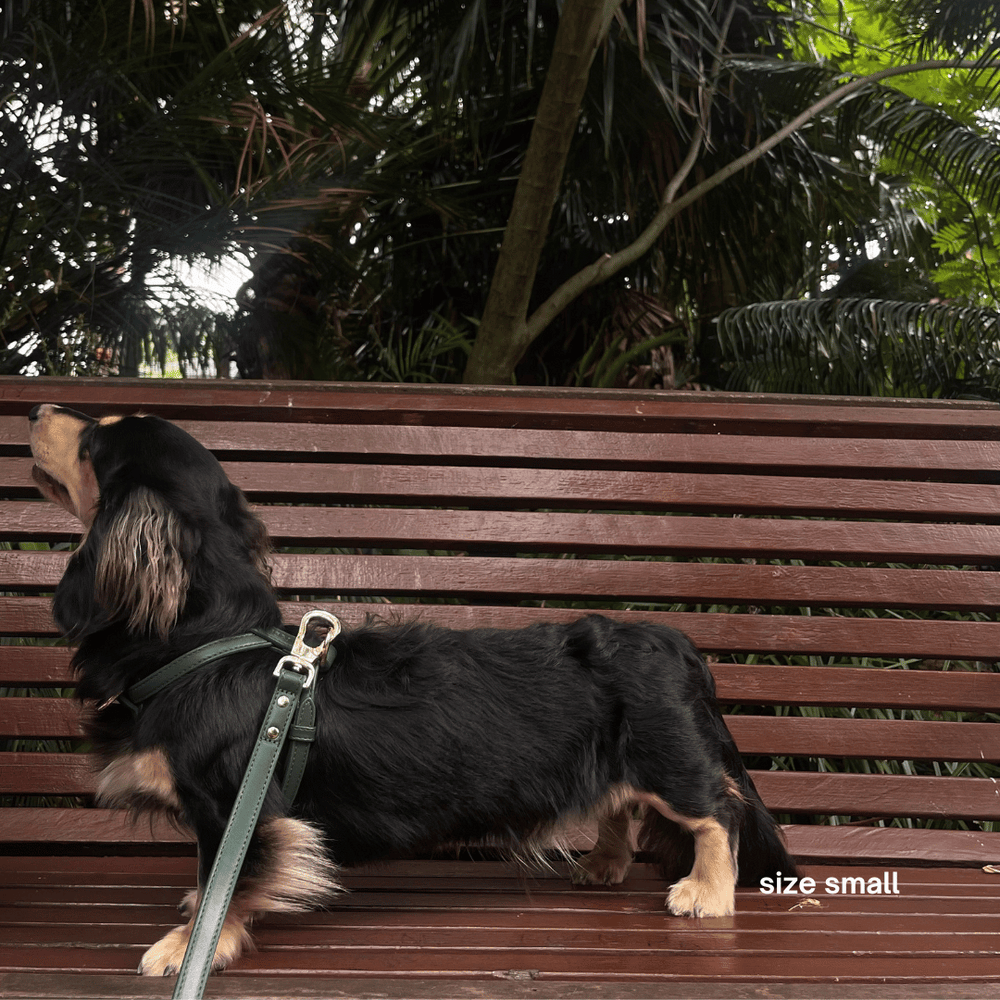 ST ARGO vegan leather best-selling bottle green harness with gold hardware. High quality finishes.