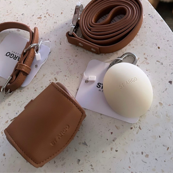 the brown poop bag holder with collar leash and treat pouch