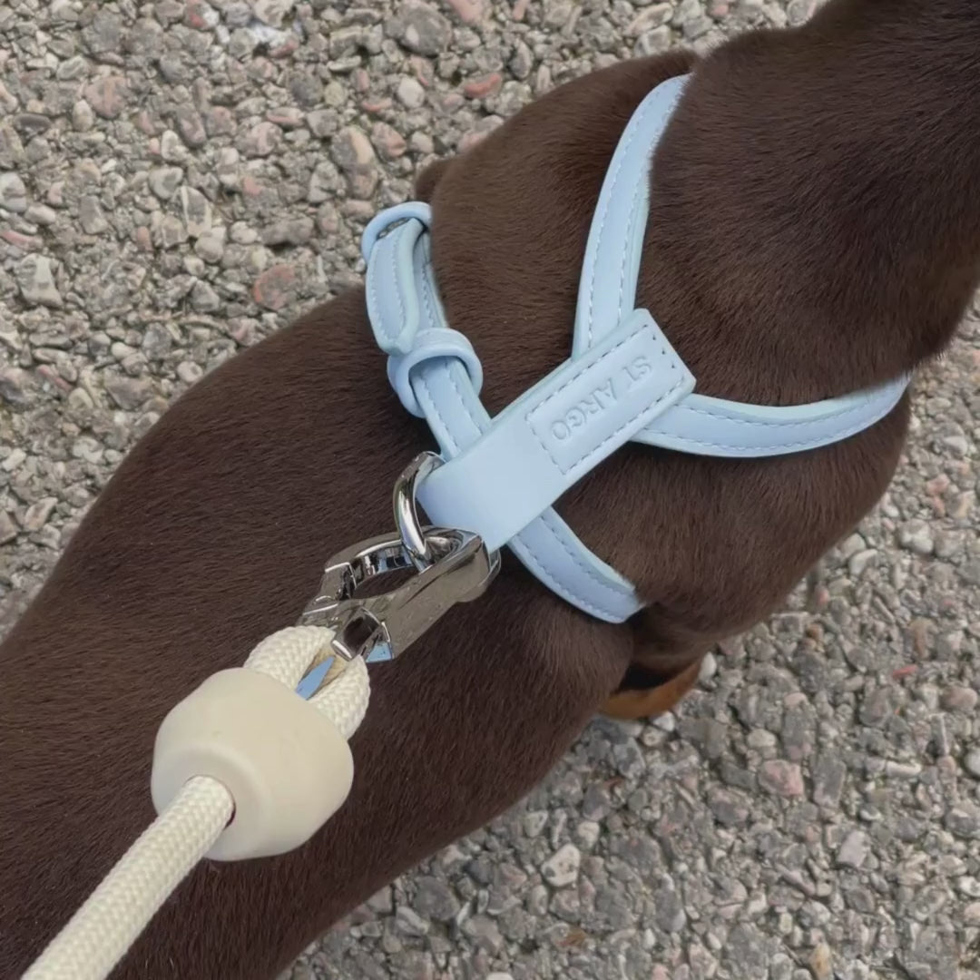 blue vegan leather dog harness dachshund