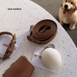 the walk set laid out for a golden retriever pup