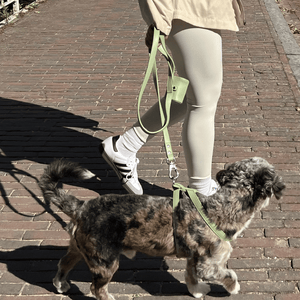the dispenser on the leash