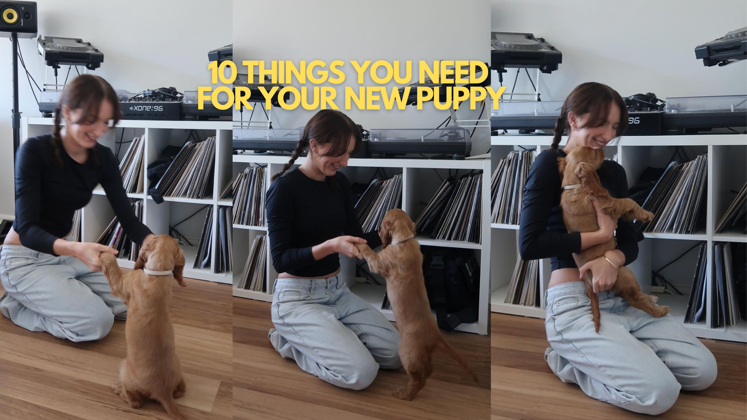 Puppy Essentials Checklist