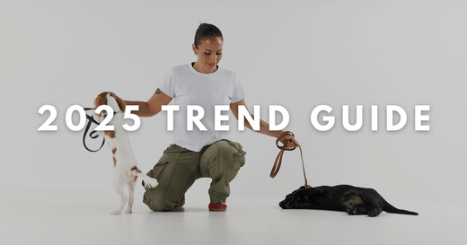 2025 dog product trend guide