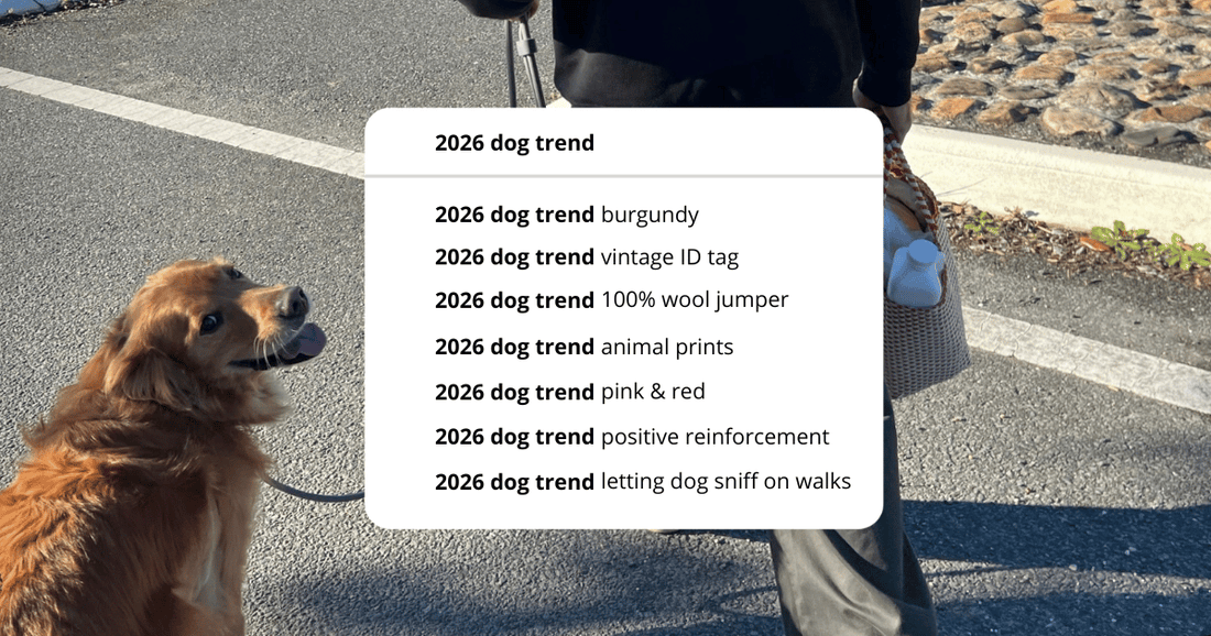 2026 dog trend guide