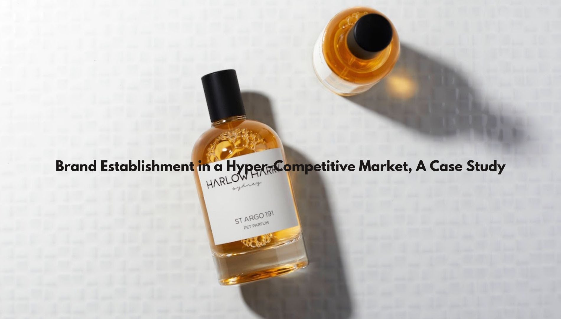 CREATING AN INNOVATIVE BRAND IN A HIGHLY COMPETITIVE INDUSTRY