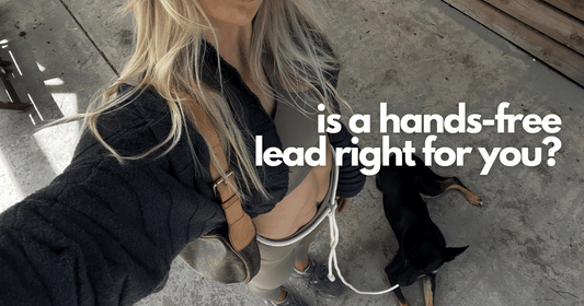 Hands Free Dog Lead