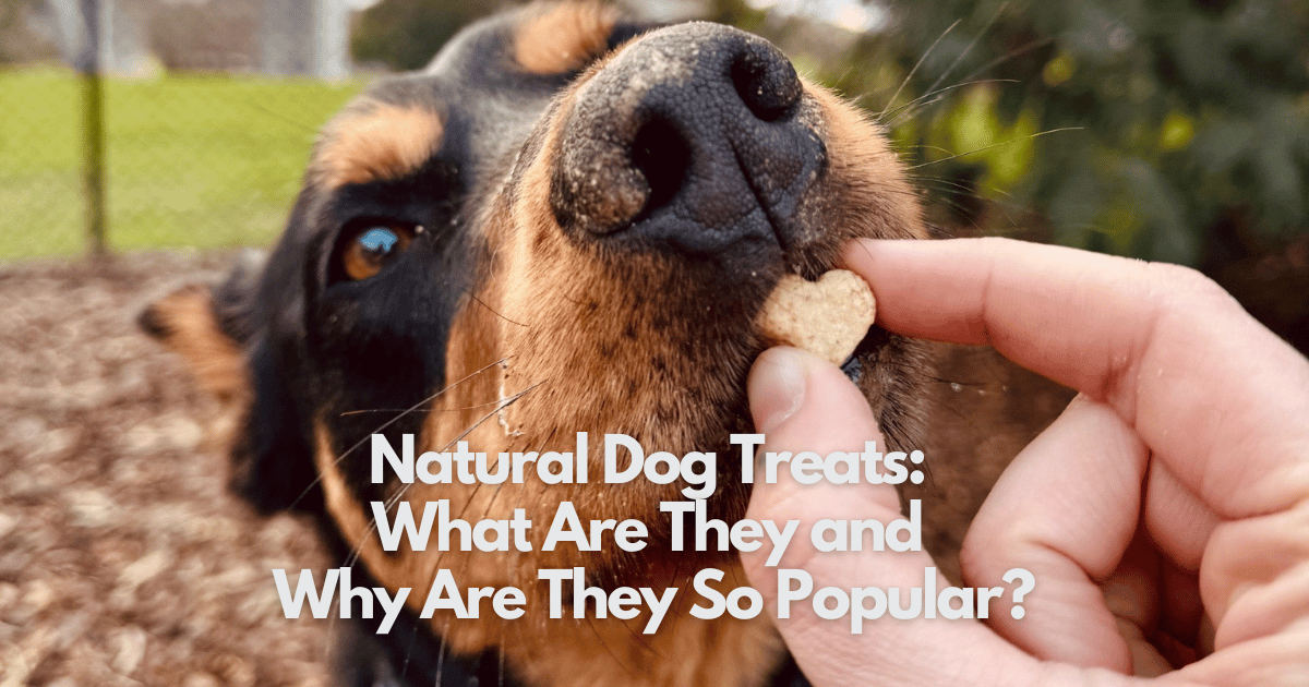 Positive Reinforcement Dog Treats