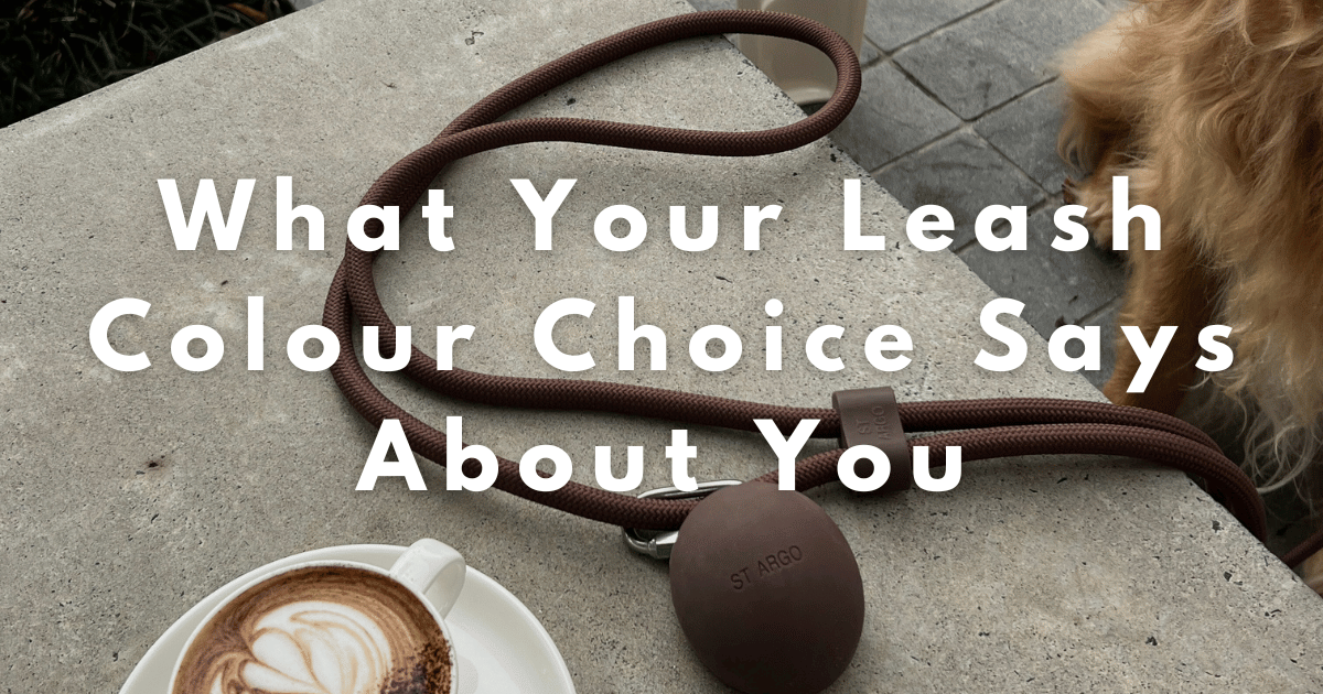 Choosing Your Dog Leash