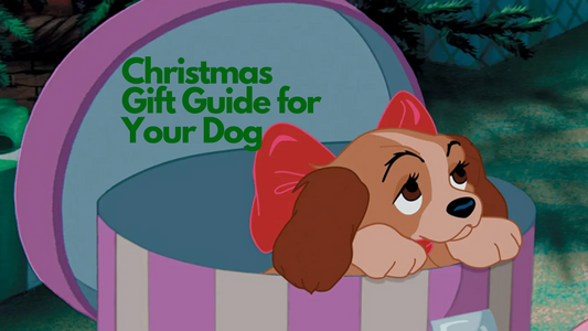 Christmas Gift Guide for Your Dog