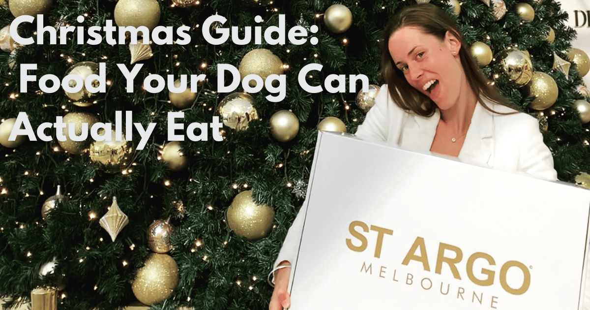 Dog Friendly Christmas Treats Dog Friendly Christmas Treats