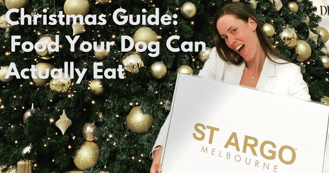 Christmas Guide: What Can My Dog Eat at Christmas