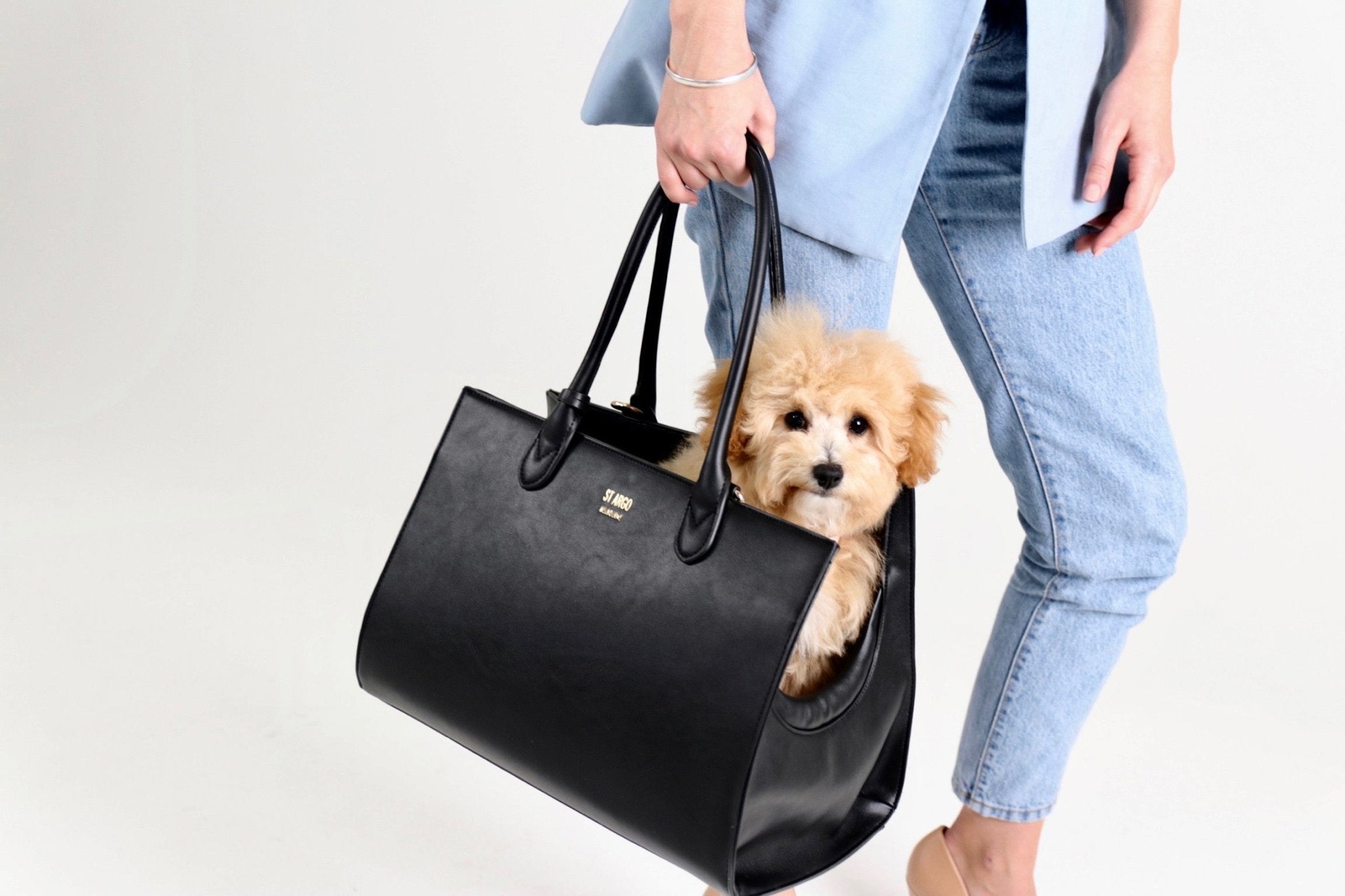 🌟 Do you want to take your small dog with you everywhere you go? Find out  how to choose the best dog carrier sling for your pup and check out our top