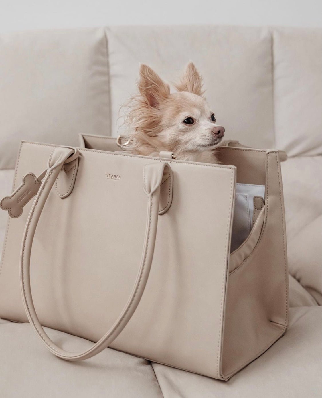 Dog in LOLA Beige Carrier