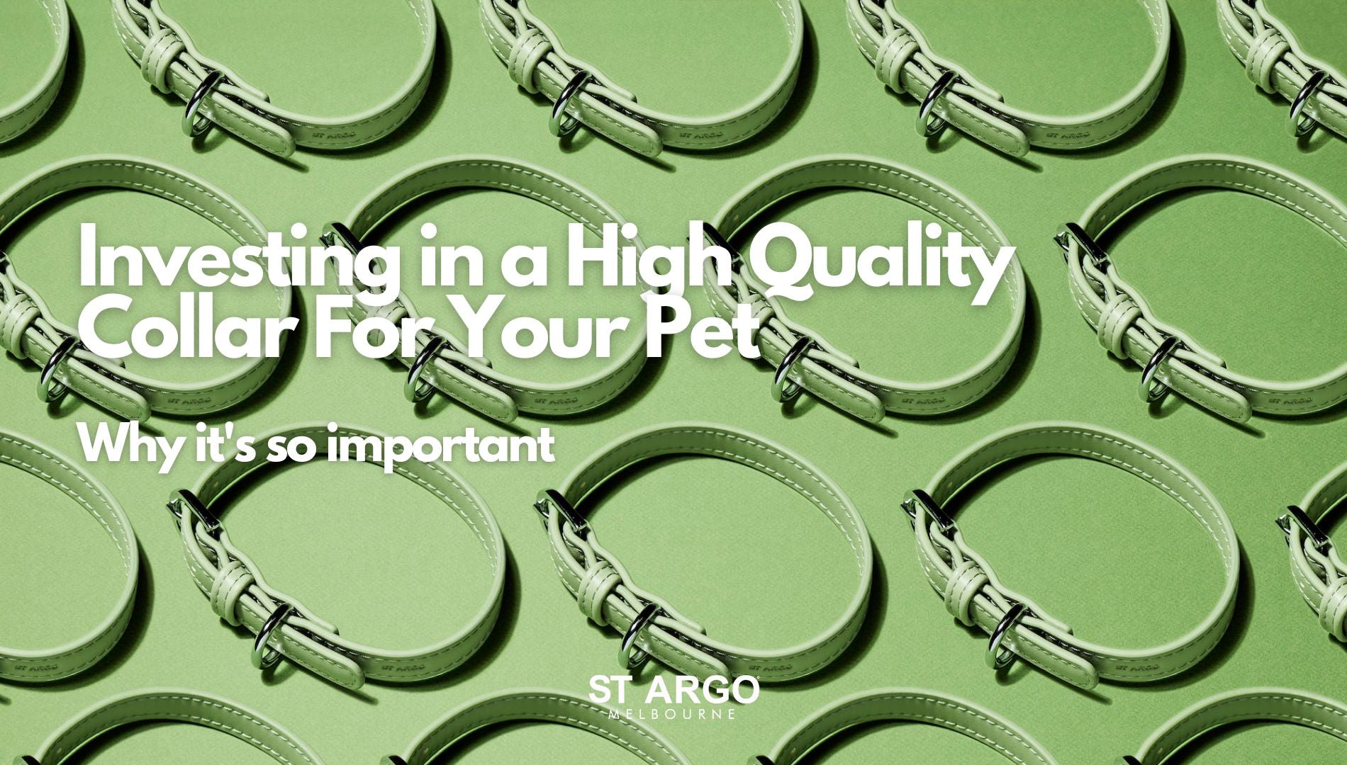 Why Dog Collars Are Essential for Your Pet's Well-being..
