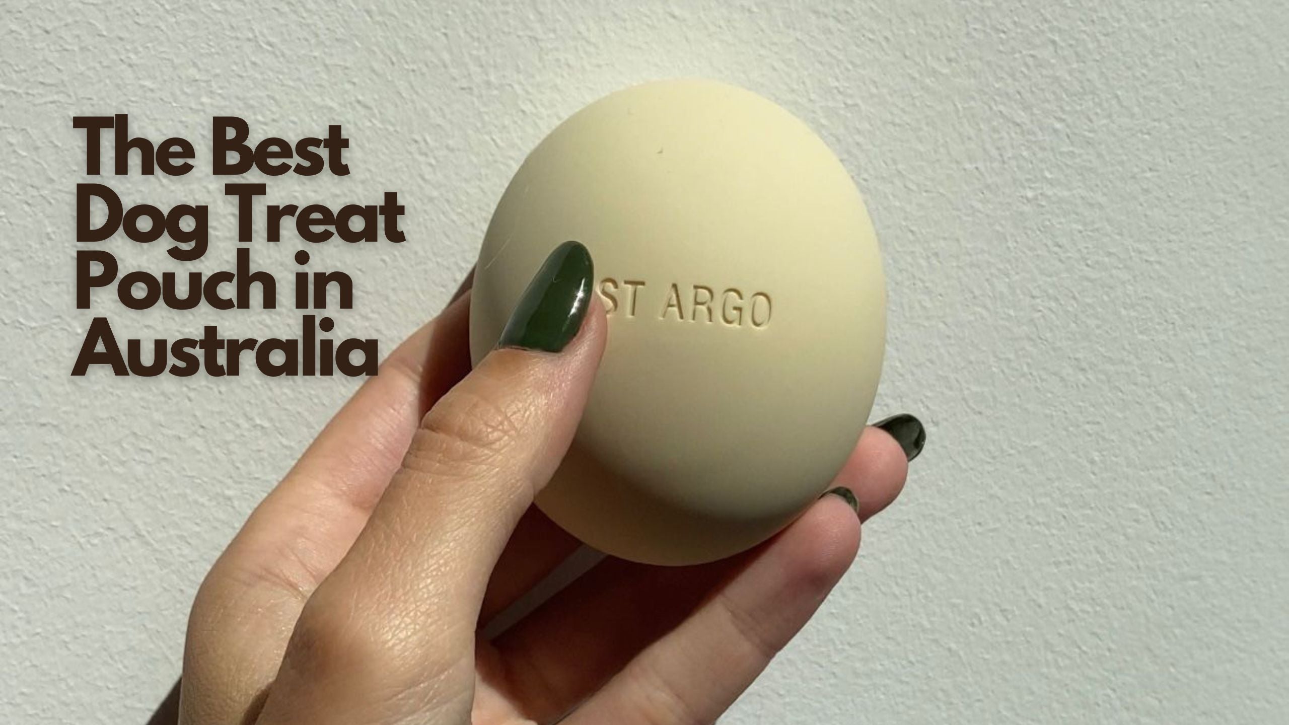 The Best Dog Treat Pouch in Australia