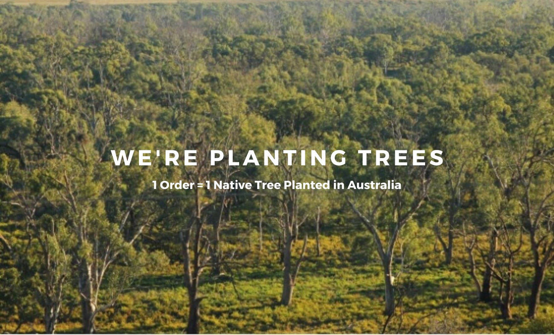 We Plant One Tree With Every Order... Here's Why