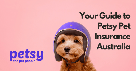 petsy pet insurance australia