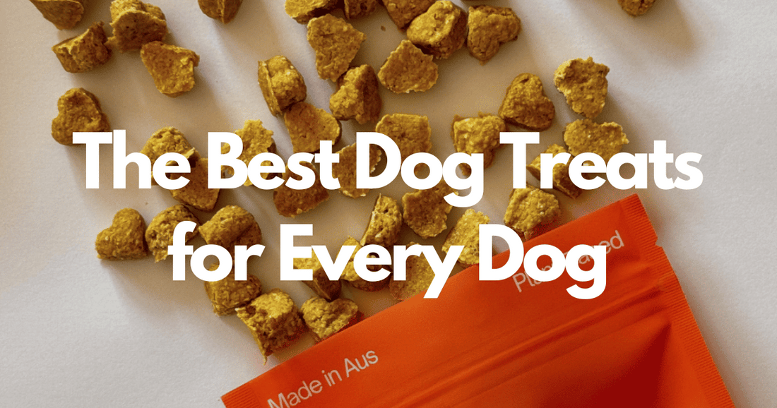 Best dog treats for every dog