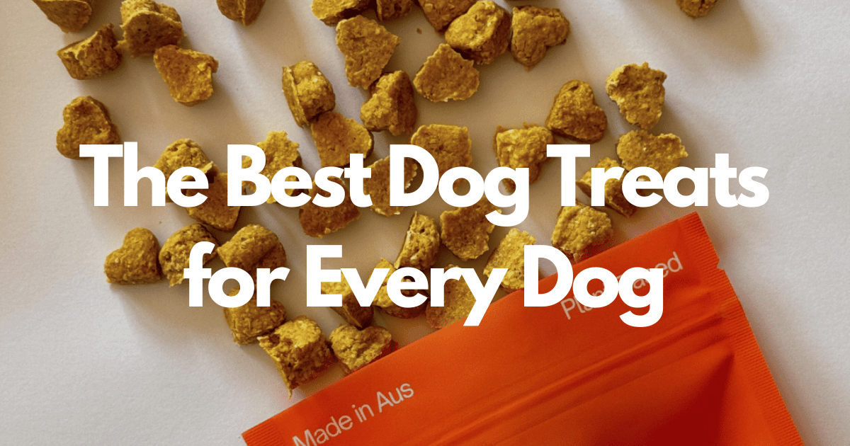 Best dog treats for every dog