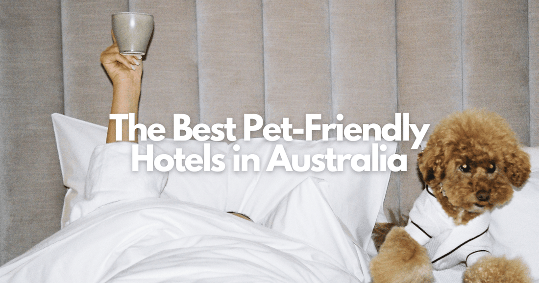 Best Pet Friendly Hotels in Australia