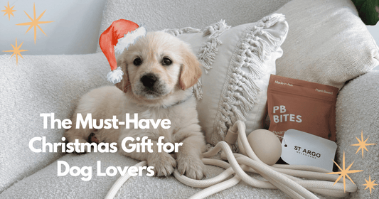 The Must Have Christmas Gift for Dog Lovers