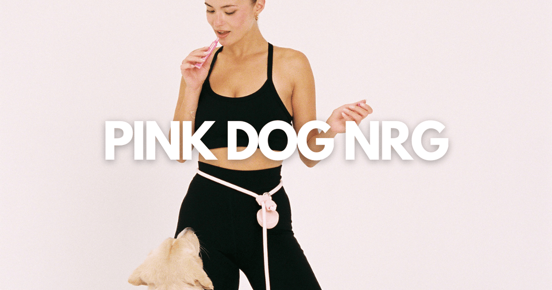 Pink Dog Energy Blog