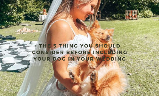Should I Include My Dog in My Wedding?