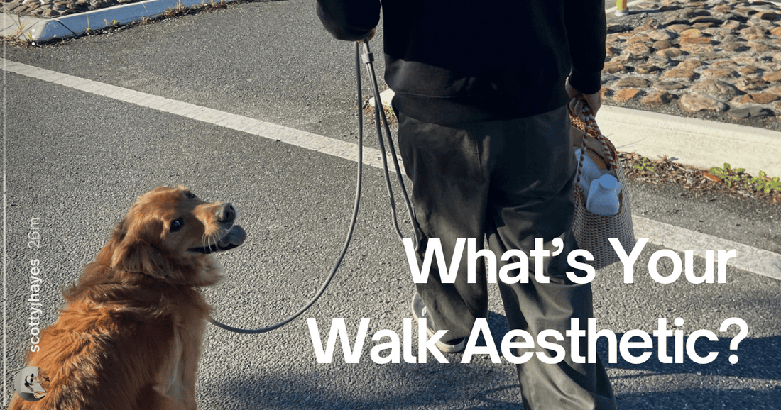 What's Your Dog Walk Aesthetic