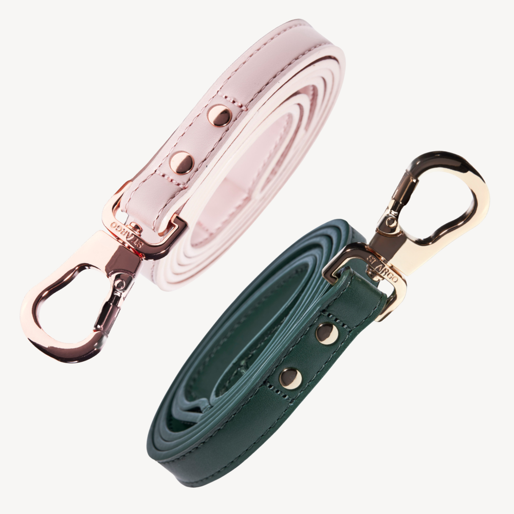 dog leads collection