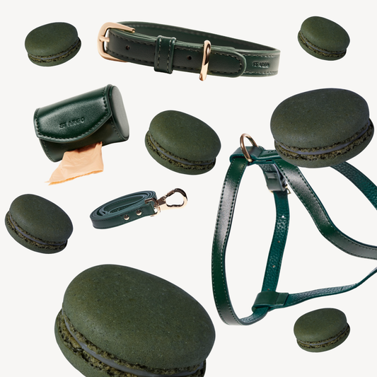 Bottle Green Collection
