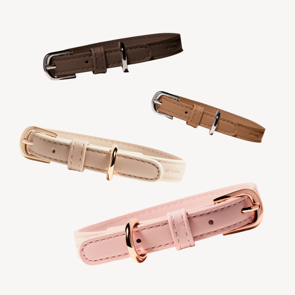 dog collar collection
