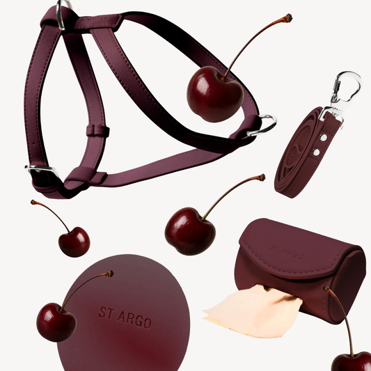 Burgundy Collection