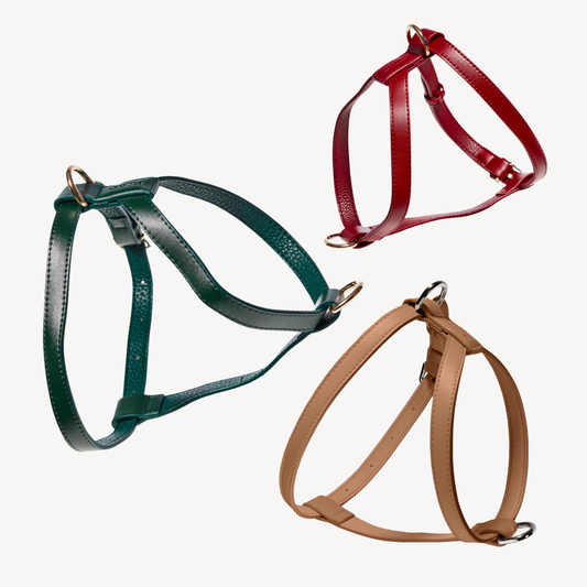 Harnesses