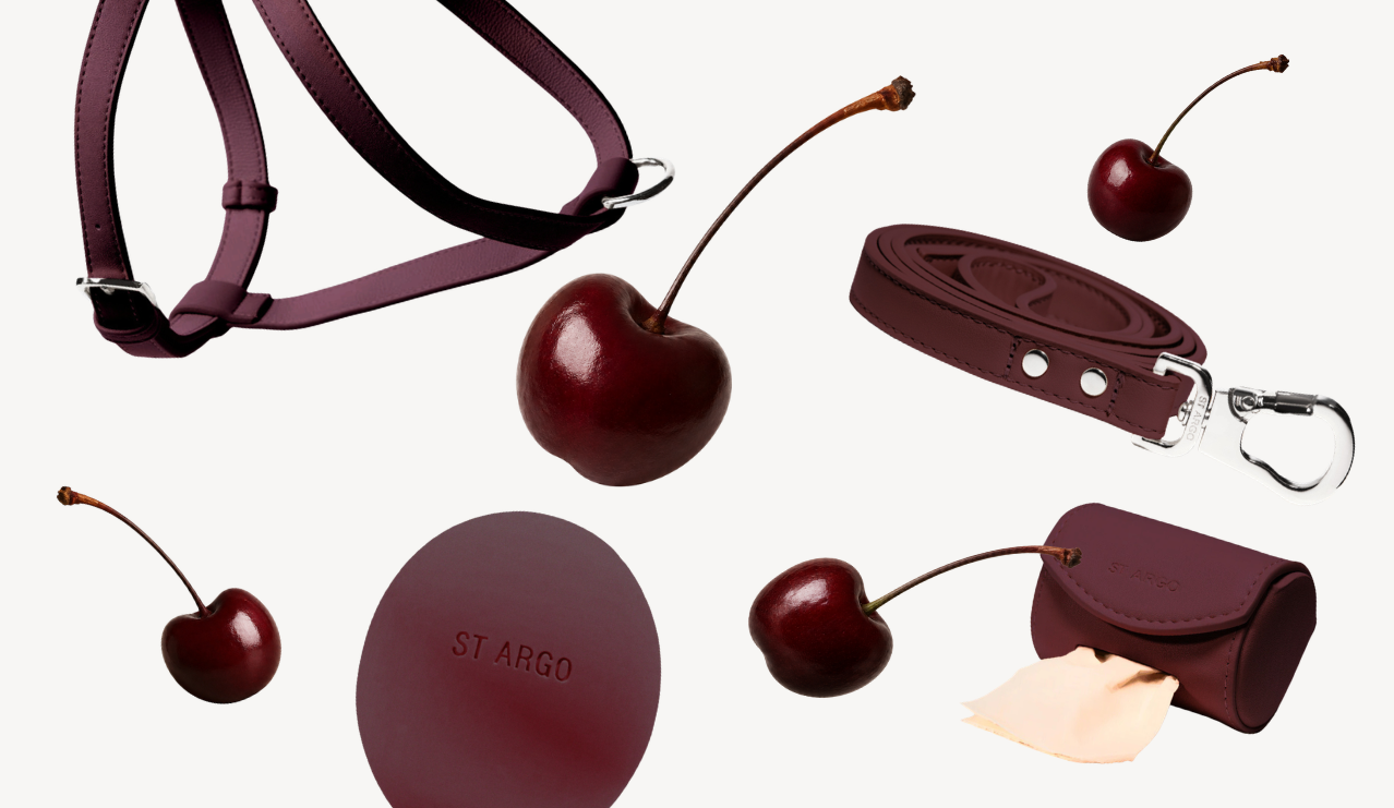 Burgundy Collection