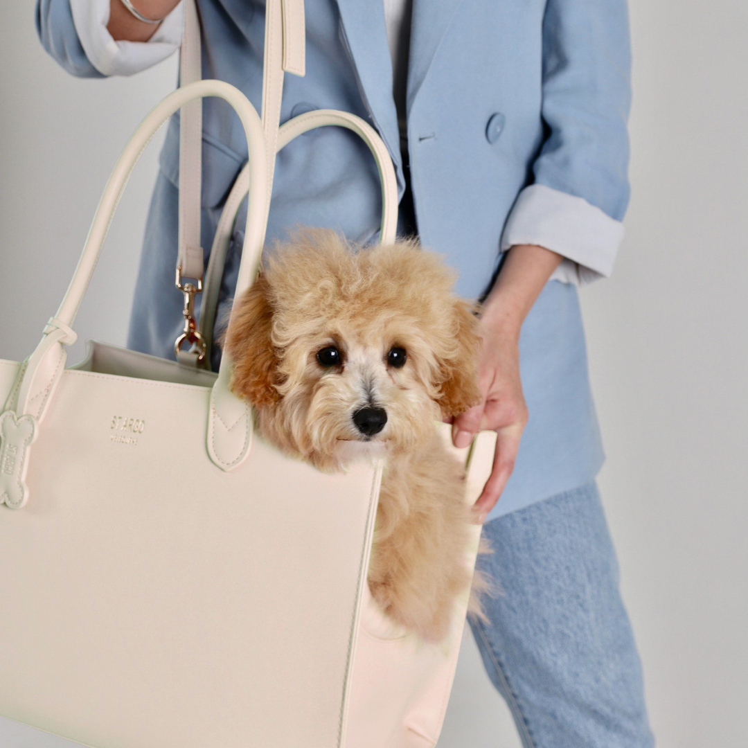 The LOLA Dog Carrier ST ARGO