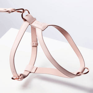 HARNESS - Pale Pink