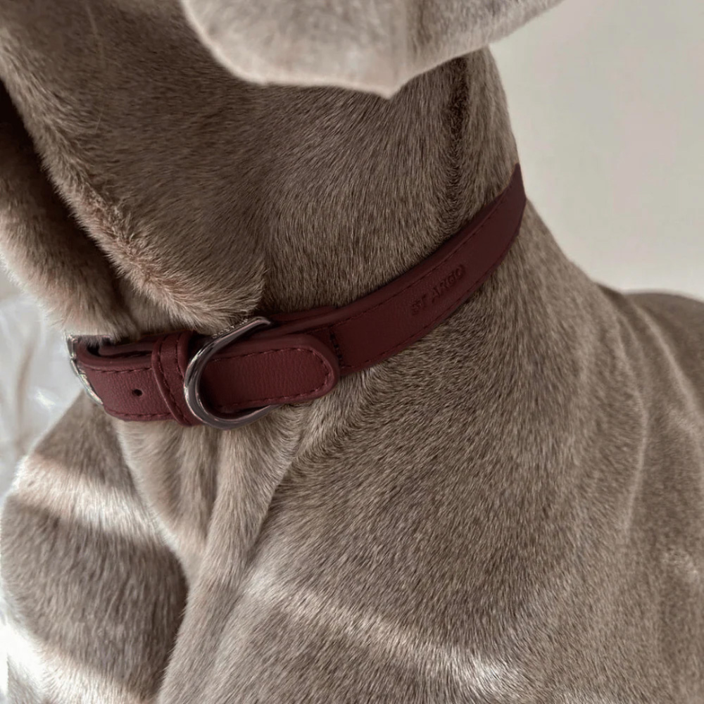 Burgundy Dog Collar
