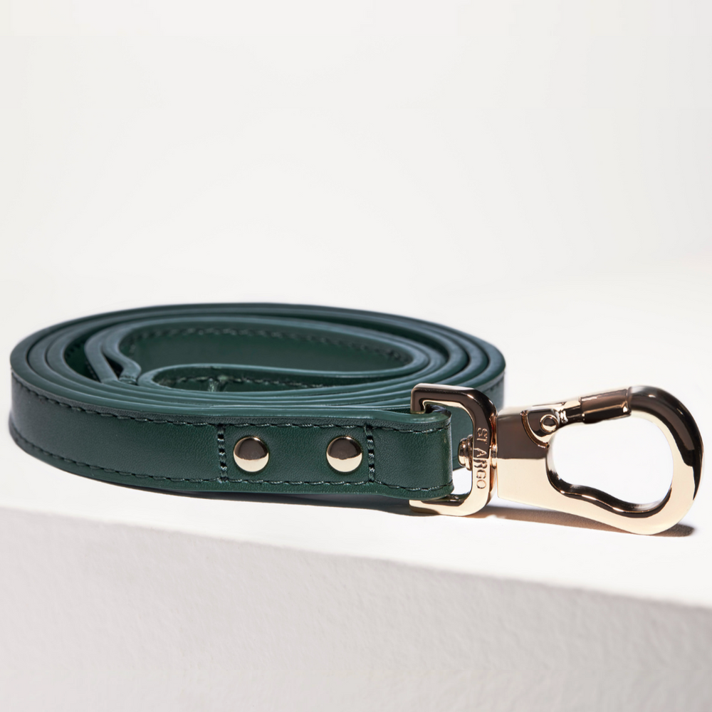 Bottle Green Dog Lead