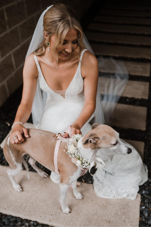 Bride Dog Wedding ST ARGO
