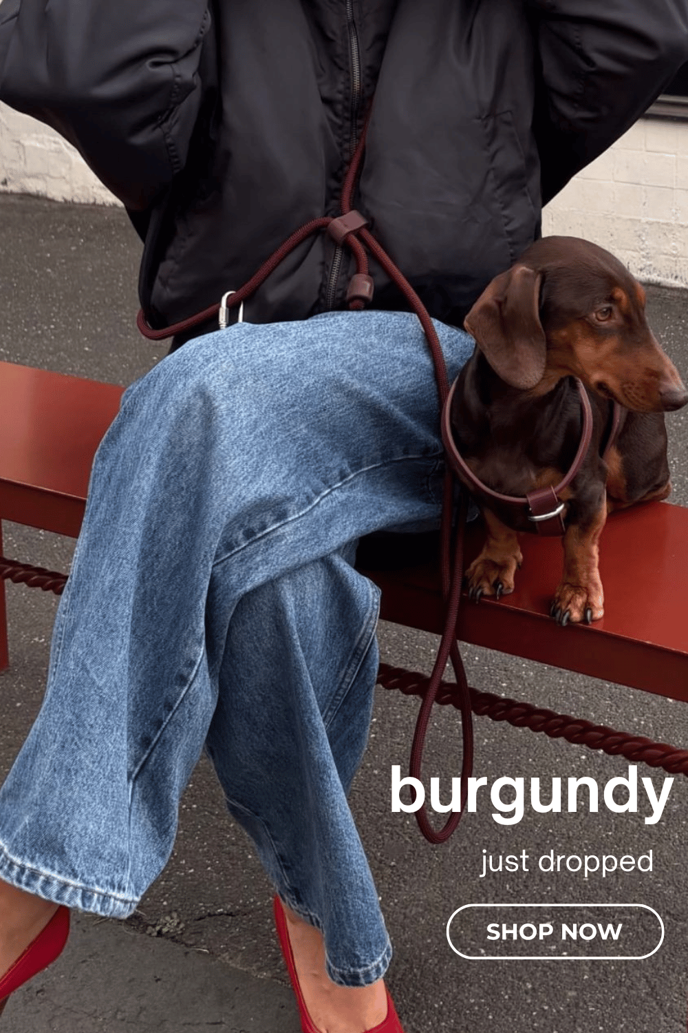 Burgundy dog products at coffee