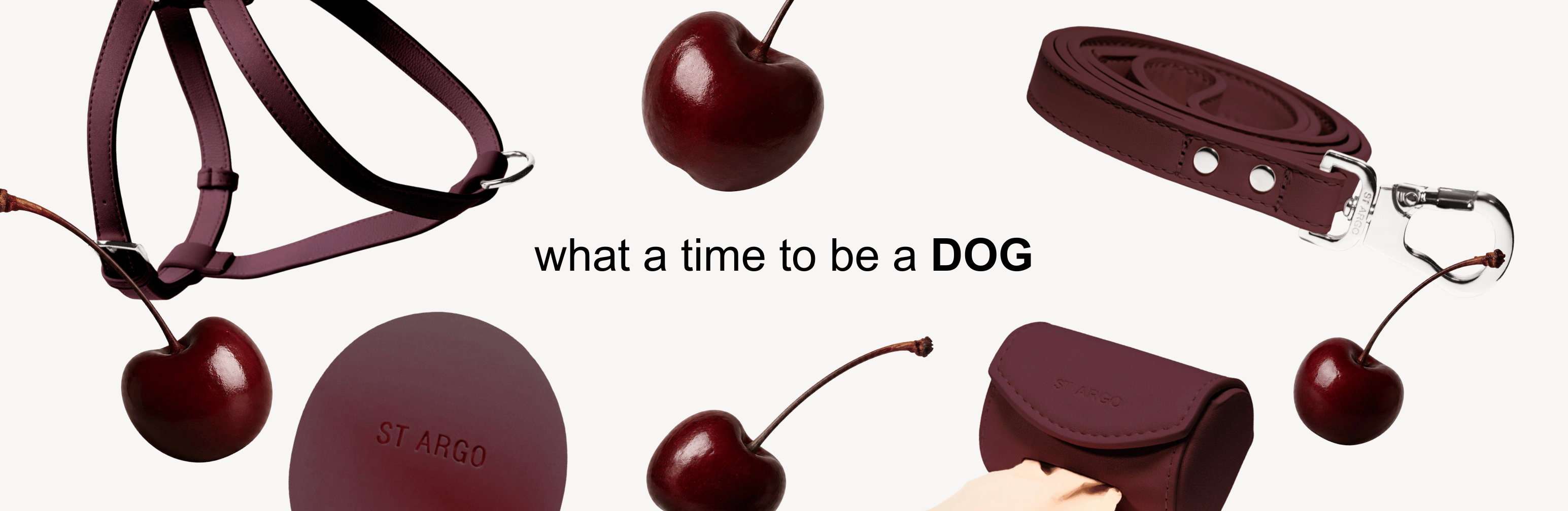 Dog Accessories in Burgundy Collection