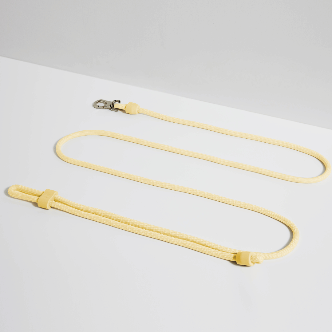 Butter hands free dog lead